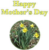 Front of Printable Mother's Day Greeting Card: Happy Mother's Day