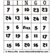Printable Bingo Party Game
