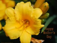 Mother's Day Wallpaper image